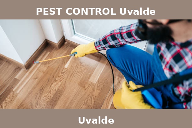 PEST CONTROL Uvalde
